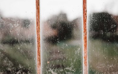 Hard Water Stains on Glass: What Causes Them and How We Remove Them
